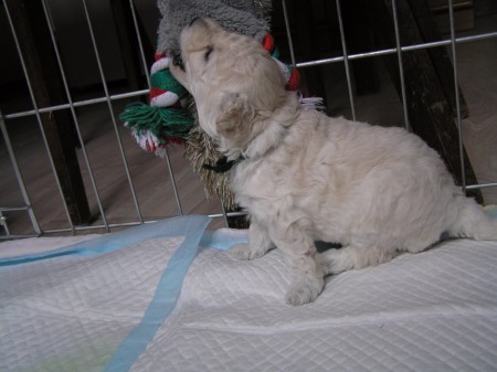 ...a taky je třeba všechno ochutnat...